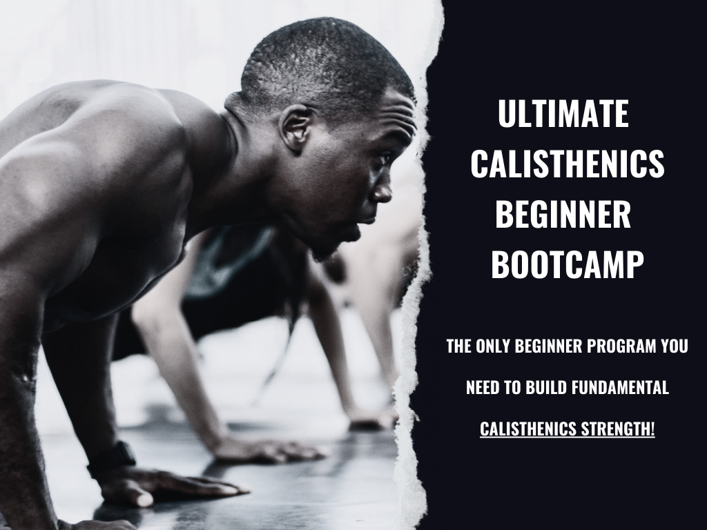 Ultimate Calisthenics Beginner Bootcamp - Instant Download